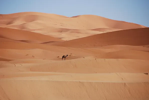 Studying in Morocco as an Anglophone Student: French Requirements and Preparatory Year Programs
