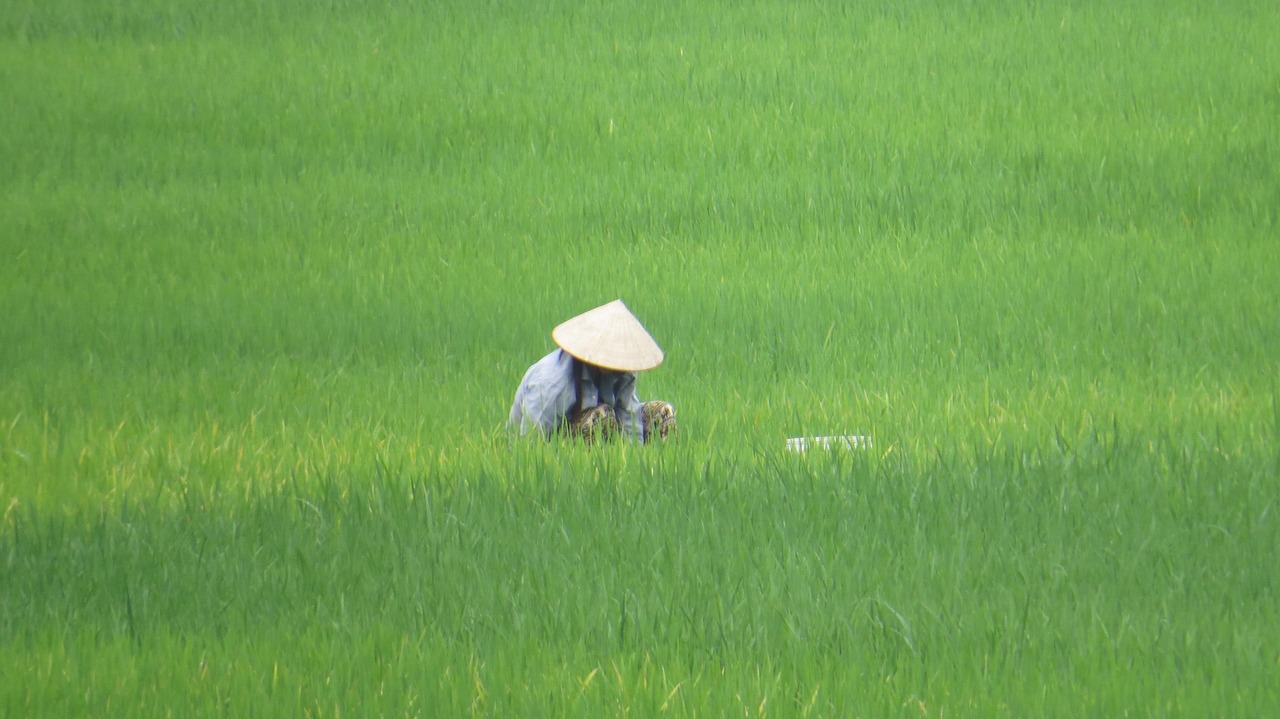 How Many ASEAN Students Study in Another ASEAN Country Each Year