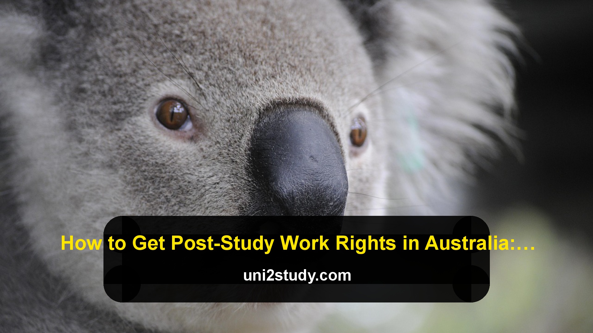 How to Get Post-Study Work Rights in Australia: A Guide for International Graduates