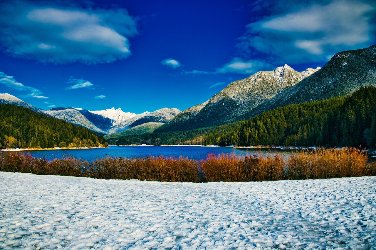 BC MSP Absence Limits While Studying Outside Canada