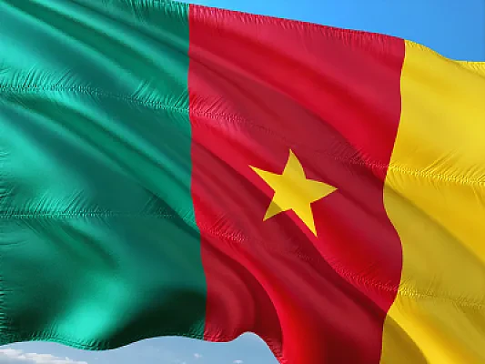 How University Admission Works in Cameroon