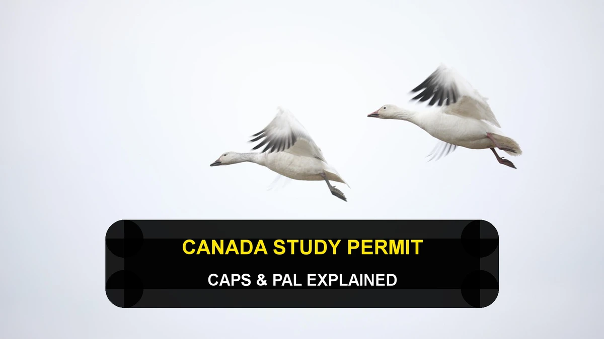 Understanding Canada's Study Permit Caps and Provincial Attestation Letters (PAL)