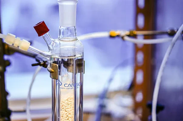 CEGEP Science Profile Prerequisites for Quebec Engineering and Medicine Programs