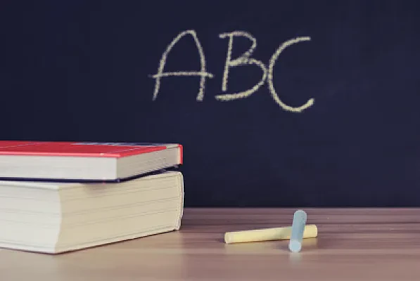 City Year and Other Education-Focused Service Year Programs
