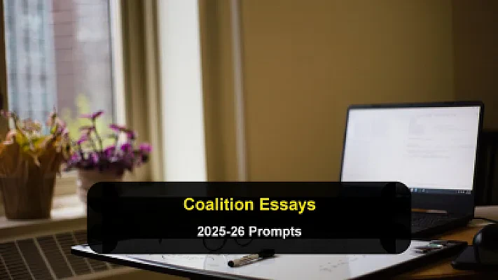 Coalition App Essays and Holistic Admissions: How to Answer the 2025-2026 Prompts