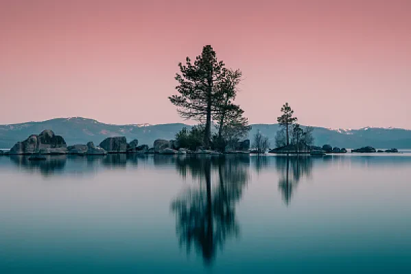 Cost of Attending College in Nevada: Tuition and Living Costs
