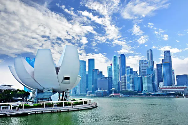CPA Singapore Pathway for Accounting Graduates: Requirements and Local vs Overseas Degrees
