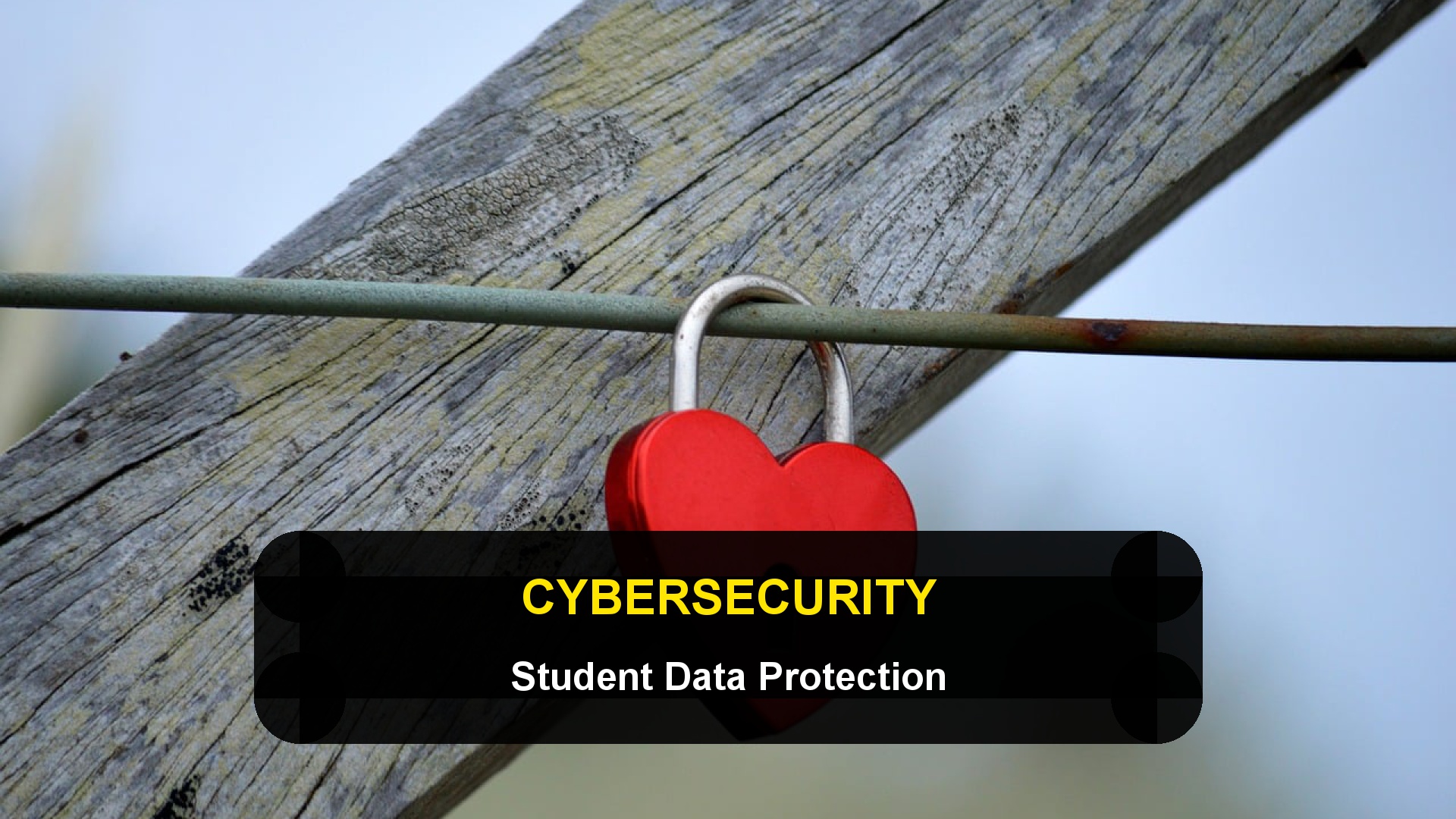 Cybersecurity for International Students: Protecting Your Data and Money Online