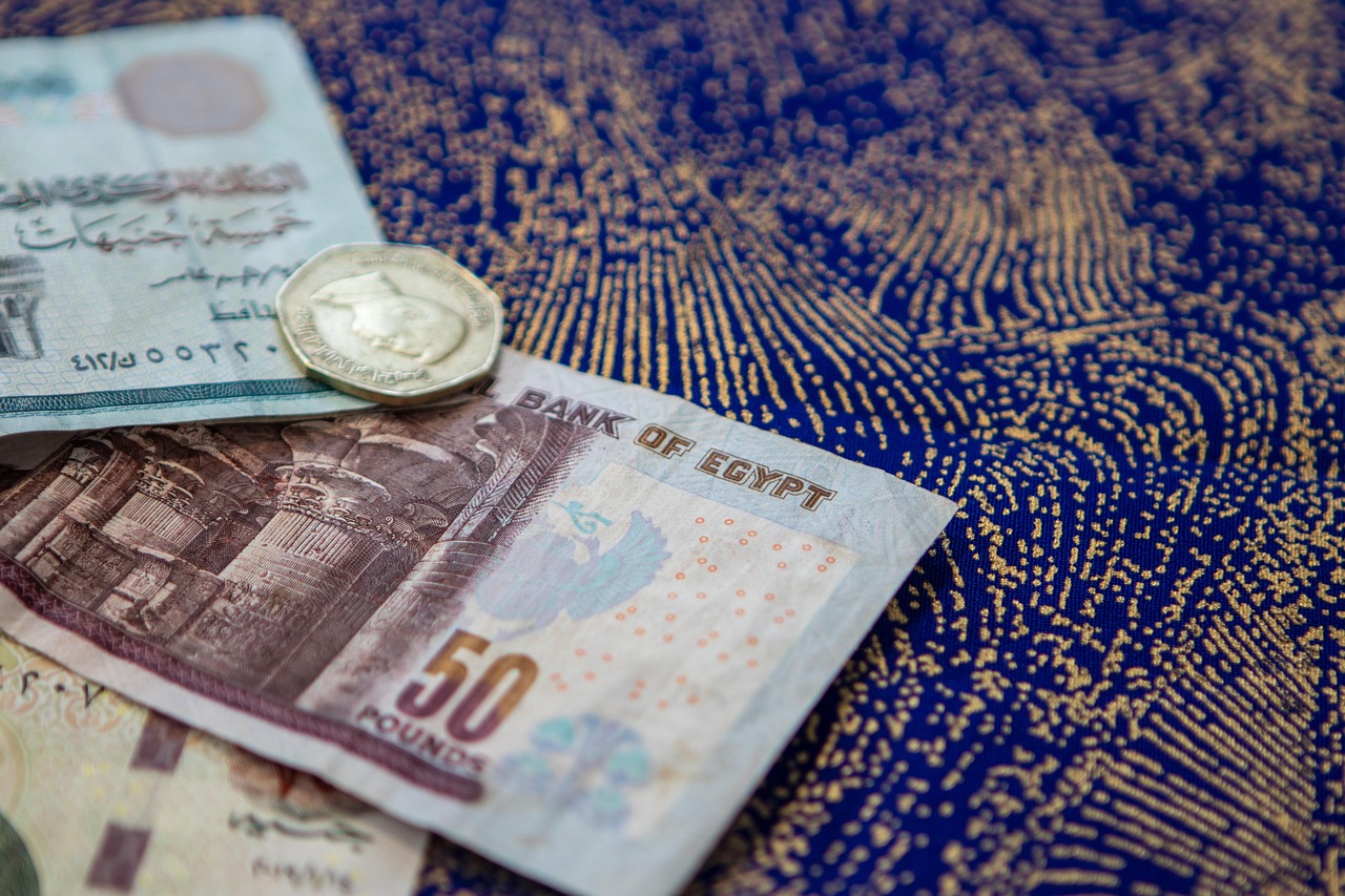 How the Egyptian Pound Devaluation Affects Private University Tuition