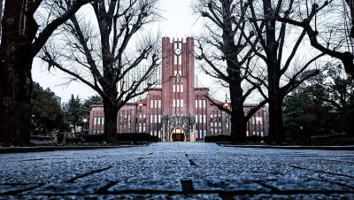 English-Taught Degree Programs in Japan for American Students