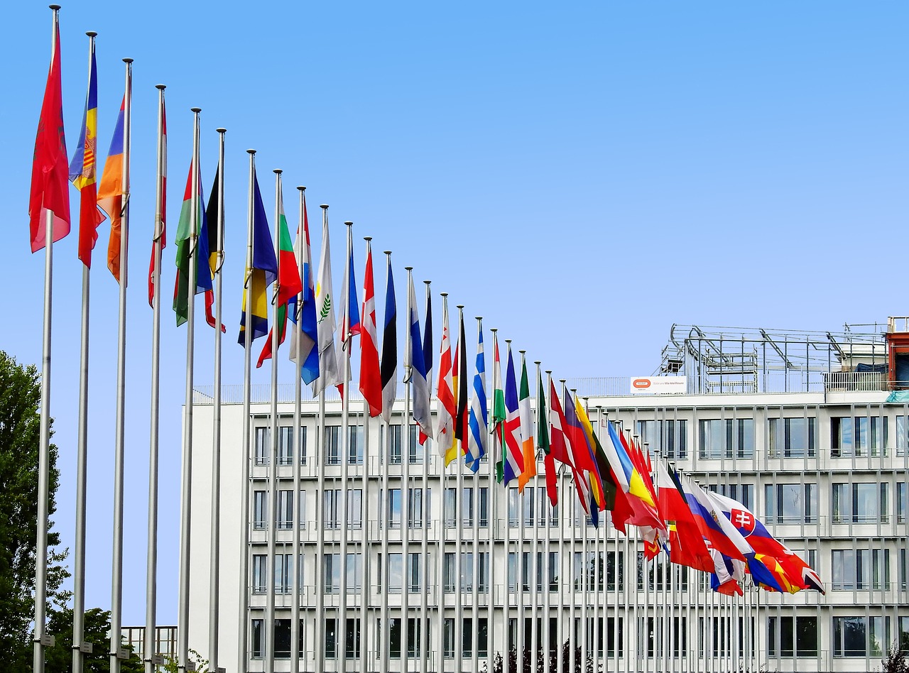 How EU Professional Recognition Directives Affect Where You Should Study Medicine or Law