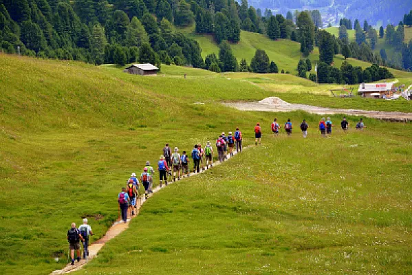Structured Gap Year Programs in Europe: Volunteering, Language Study, and Work Before University