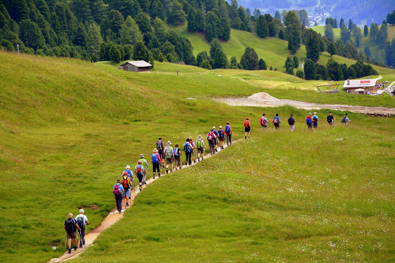 Structured Gap Year Programs in Europe: Volunteering, Language Study, and Work Before University
