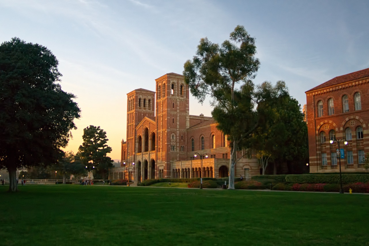 What General Education Requirements Are and Why Every Degree Includes Them