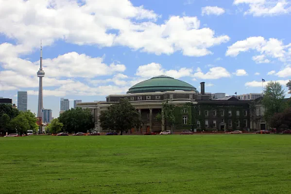 Grade 12 U Prerequisites by Program: What Engineering, Business, and Science Actually Ask For