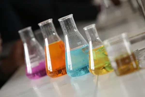 How Long a PhD Really Takes and Why Time to Degree Varies