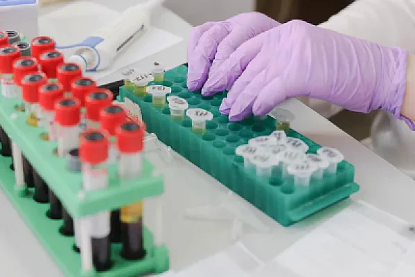 How Research Assistantships Work in Grad School