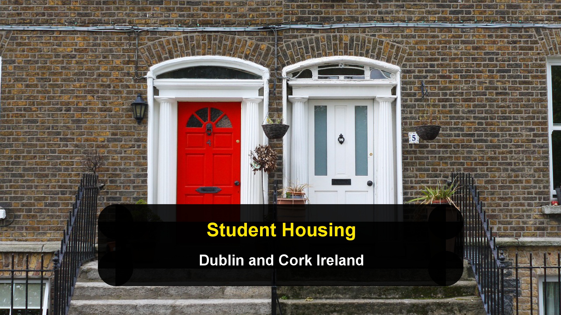 How to Find Student Housing in Dublin and Cork: Survival Tactics for the 2024–2025 Crisis