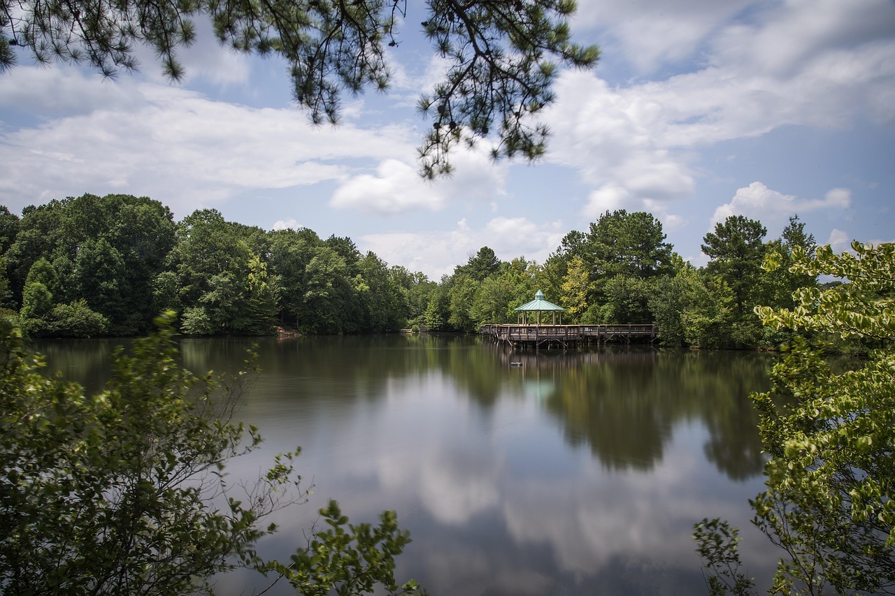 In-State Tuition in Georgia: Residency Rules and How to Qualify