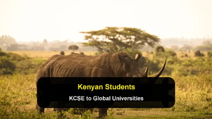Studying Abroad with a KCSE: How Kenyan Students Meet Global University Standards