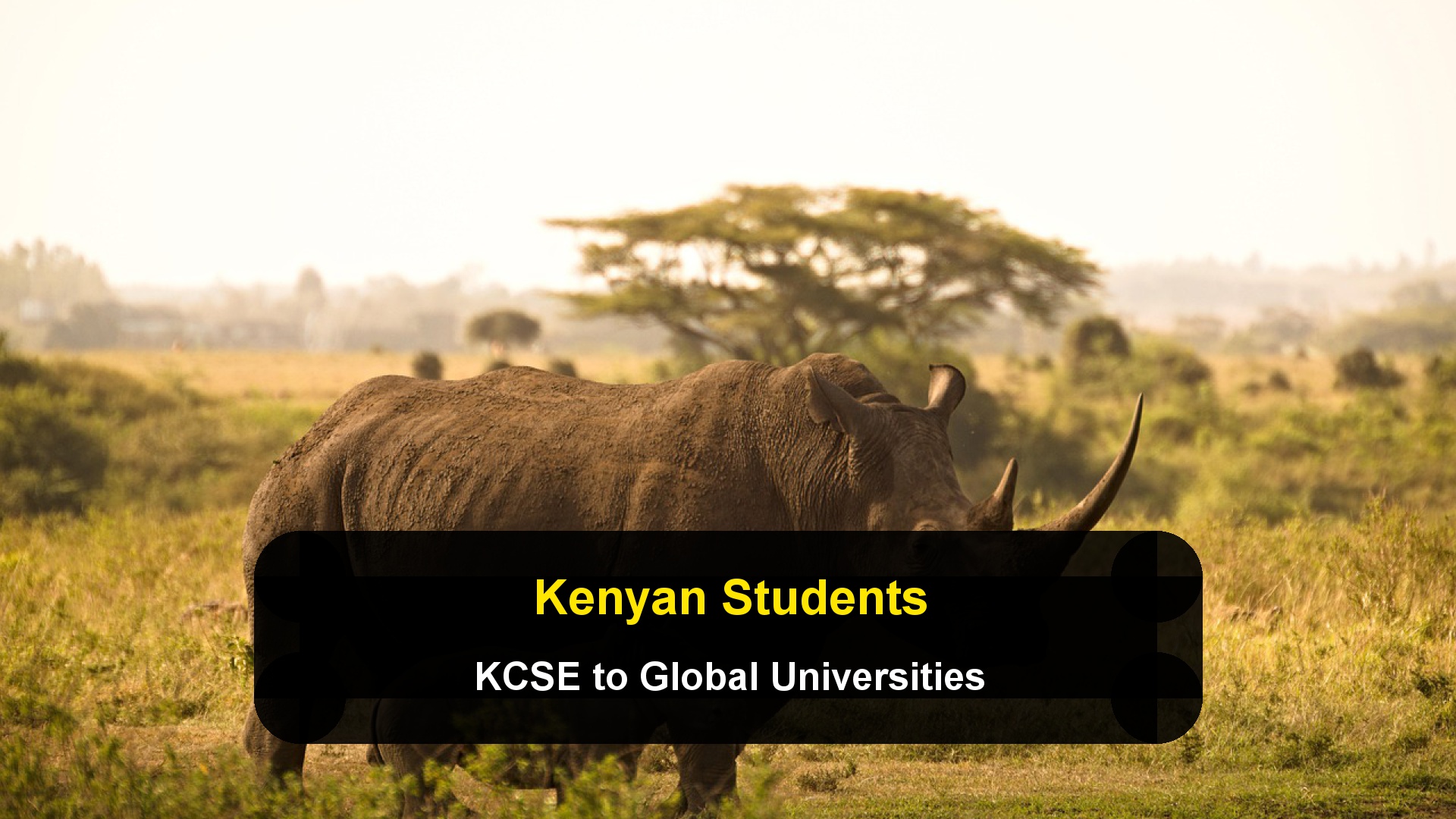 Studying Abroad with a KCSE: How Kenyan Students Meet Global University Standards