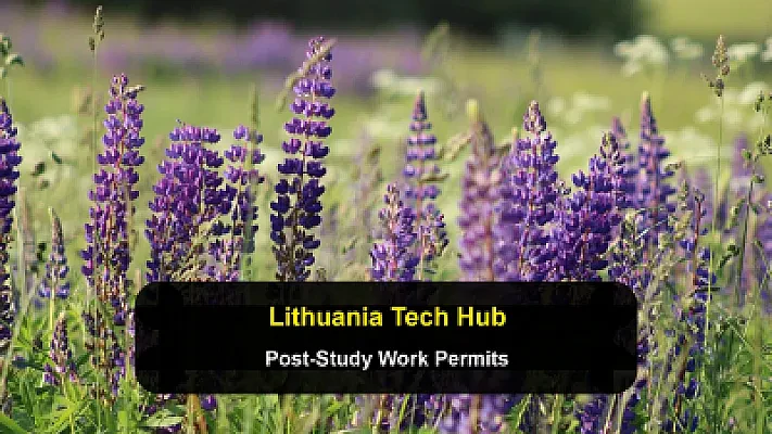 Lithuania: Post-Study Work Permits and Tech Career Hubs in Vilnius