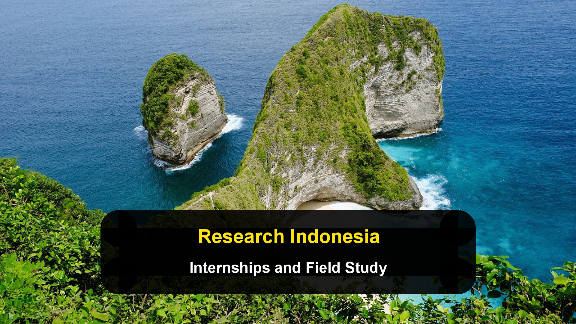 Living and Researching in Indonesia: Internships, Field Study, and Startup Options for Foreign Students