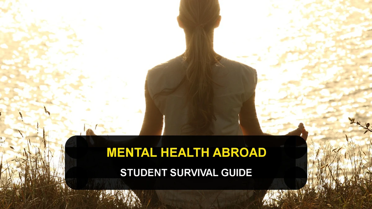 Mental Health Abroad: International Student Survival Guide