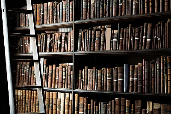 Merit-Based Tuition Waivers for EU Movers: How University Fee Discounts Work
