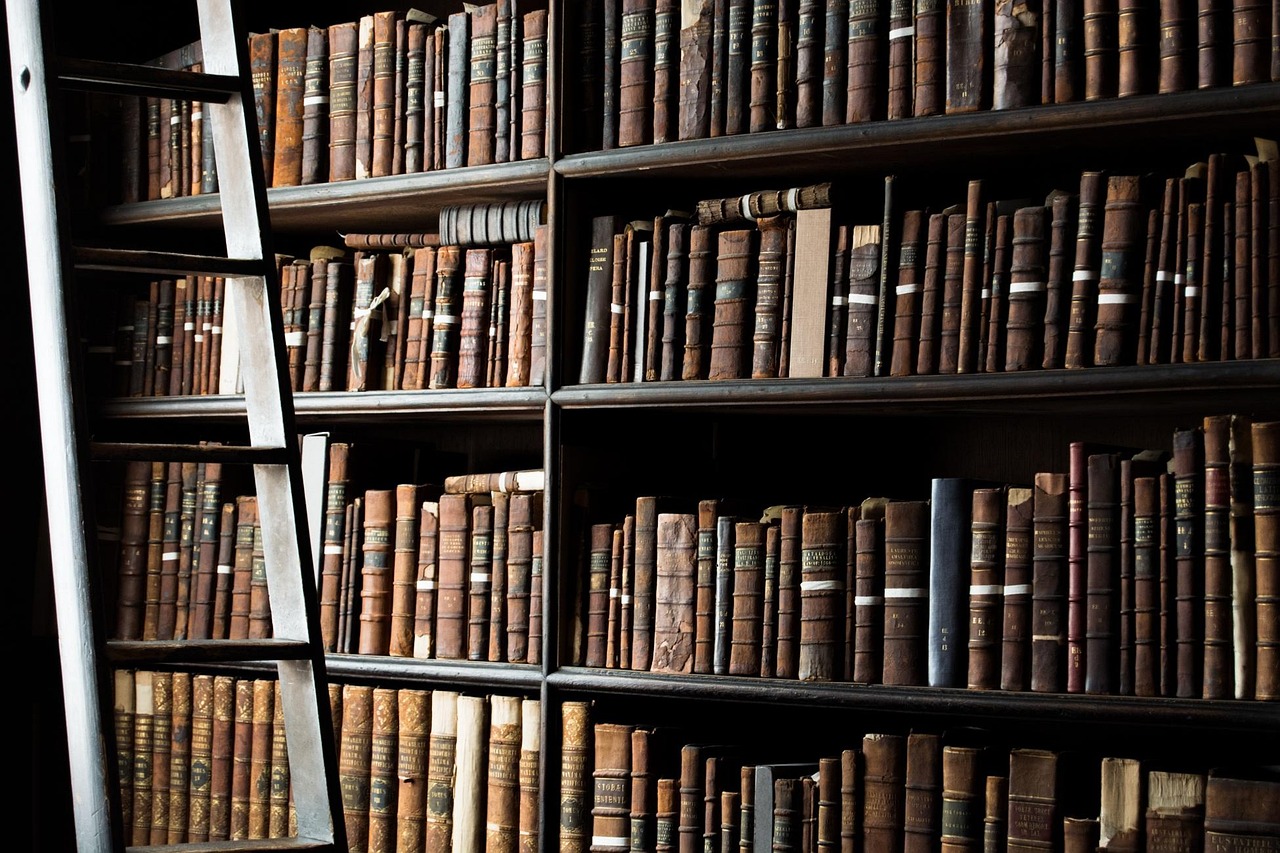 Merit-Based Tuition Waivers for EU Movers: How University Fee Discounts Work