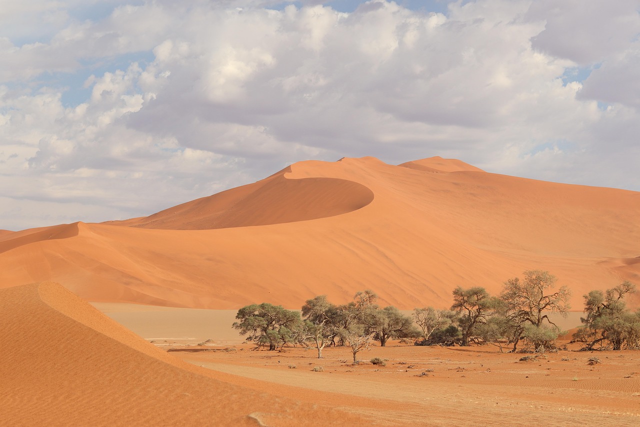 Student Housing and Hostel Life in Namibia