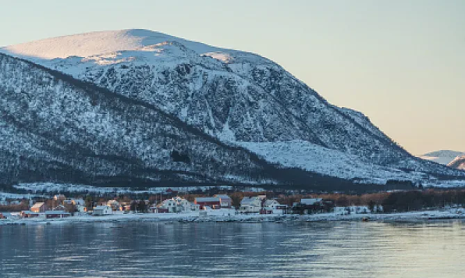 Studying in Norway or Iceland as an EU student: EEA rules explained