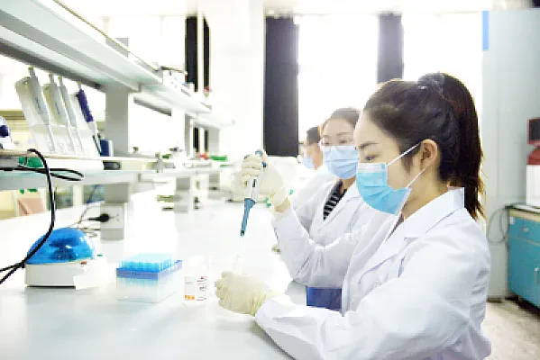 Professional Master's Degrees vs Research Master's: What's the Difference