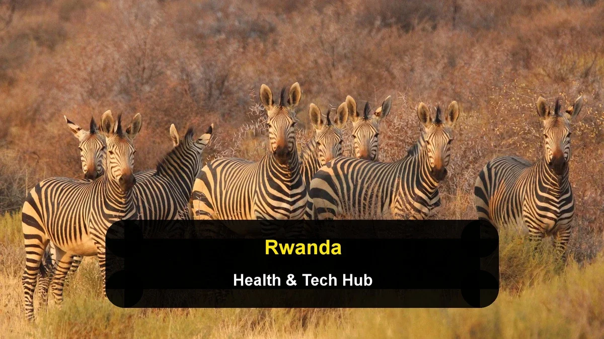 Rwanda: The Emerging Hub for Global Health Delivery and Tech Startups