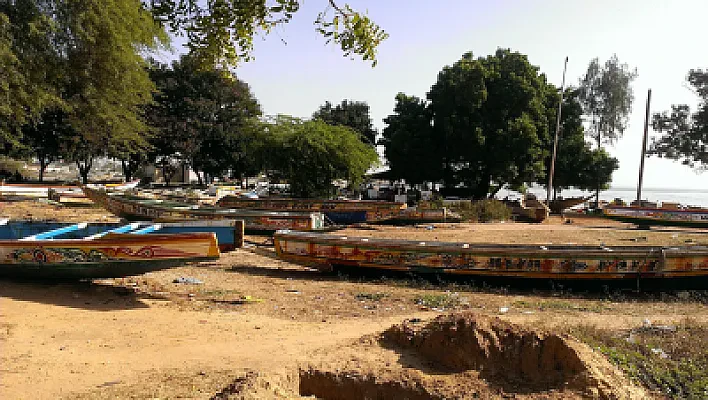 How Senegal's CAMPUSEN Platform Places Students After the BAC