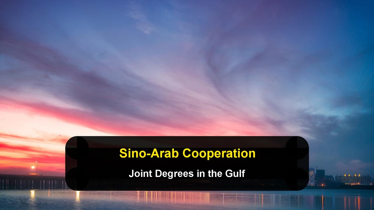 Sino-Arab Academic Cooperation: Research Initiatives, Joint Degrees, and HSK Requirements in the Gulf