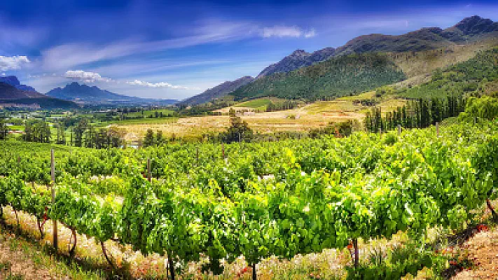 Stellenbosch University Admission Guide: Application Process and Requirements