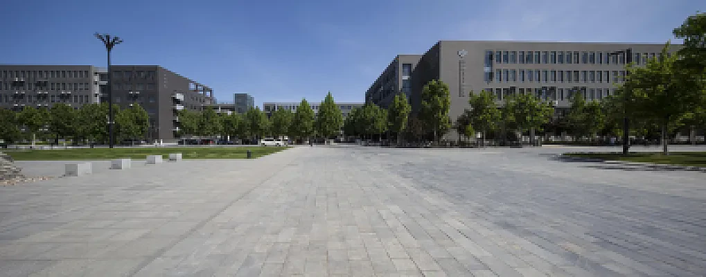 Studielink Walkthrough: Applying to Dutch Universities Step by Step