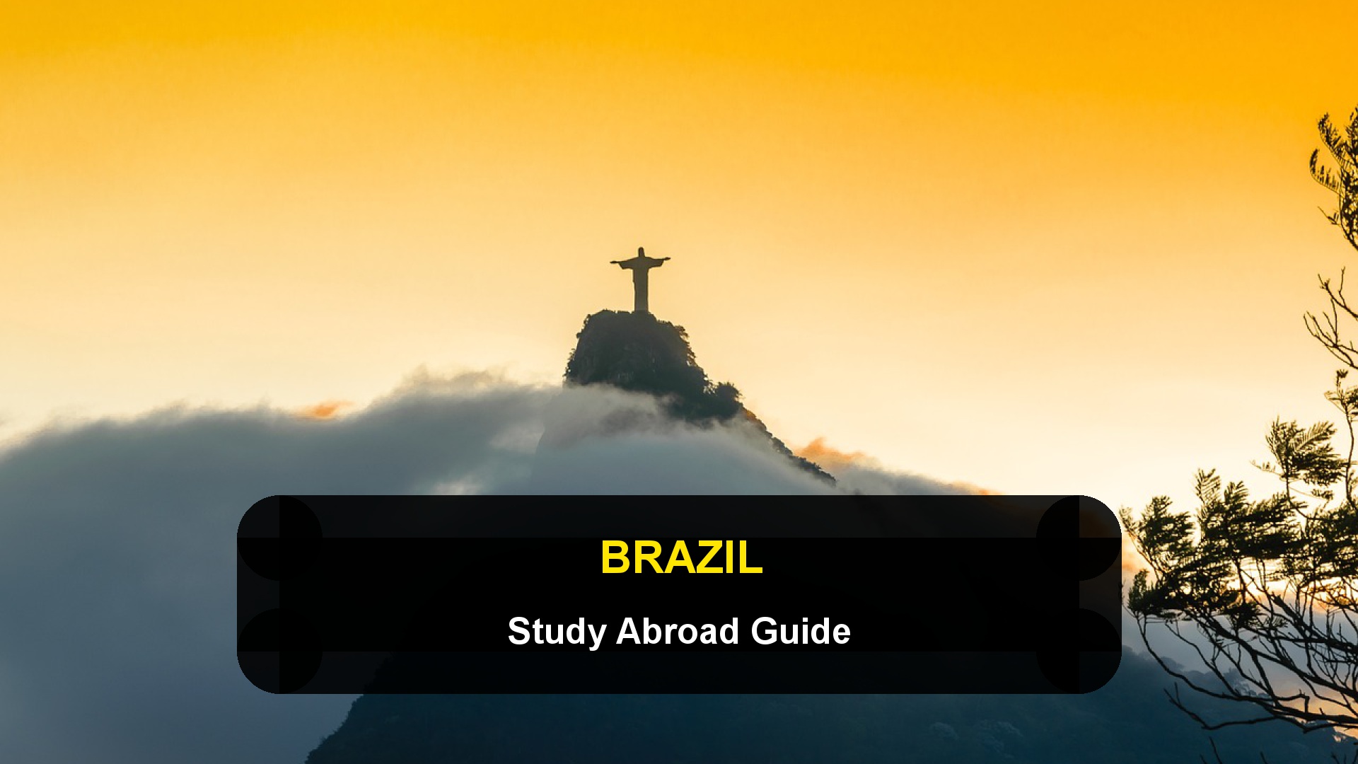 Studying in Brazil: Visas, Portuguese Courses, and Student Life for International Students
