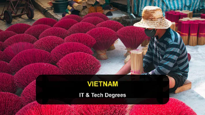 Studying IT and Tech in Vietnam: English-Taught Degrees at RMIT and VinUniversity