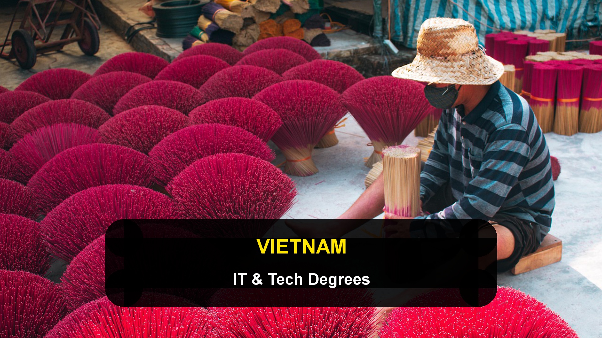 Studying IT and Tech in Vietnam: English-Taught Degrees at RMIT and VinUniversity