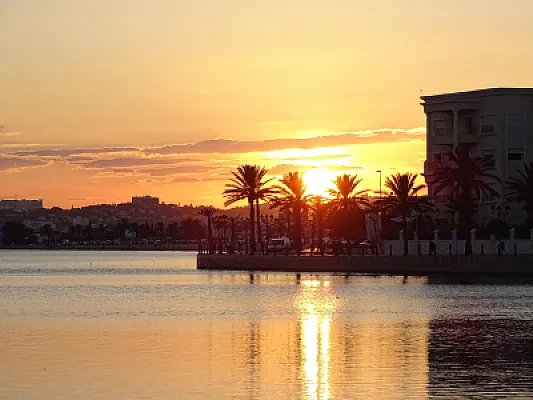 How Tunisia's Orientation Universitaire Platform Assigns Students to Programs