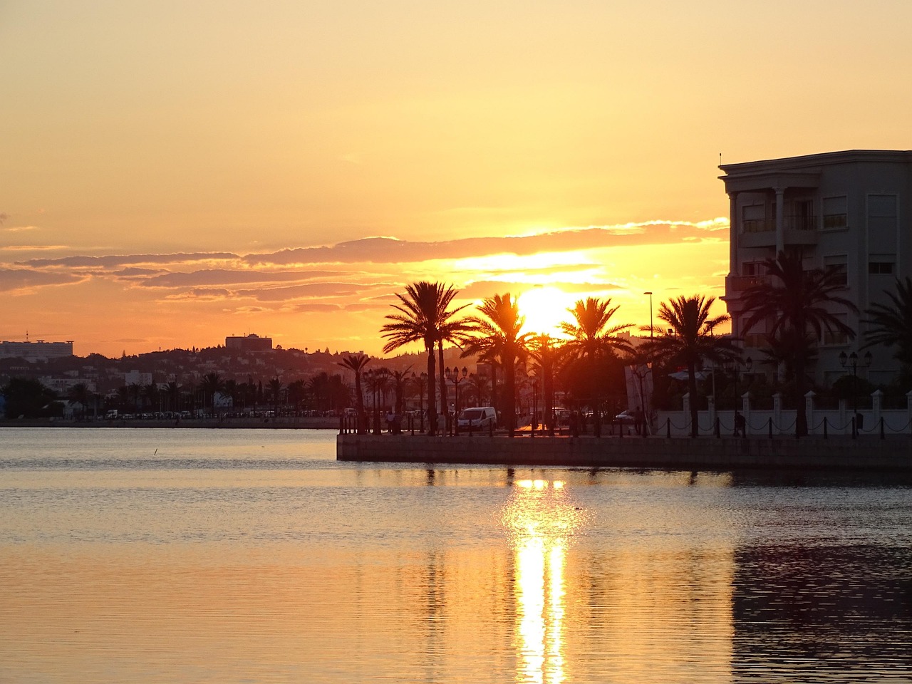 How Tunisia's Orientation Universitaire Platform Assigns Students to Programs