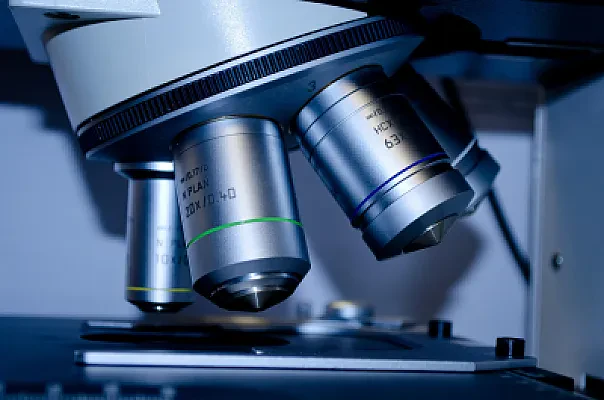 Undergraduate Research Abroad: Programs and Funding for US Students