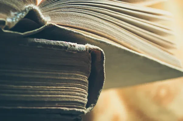 University Application Systems Abroad: What Replaces the SAT and Common App