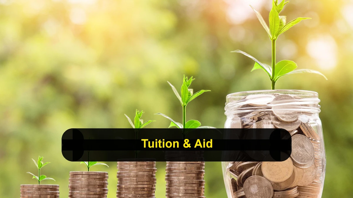 Tuition Costs and Financial Aid Options for US Veterinary Students