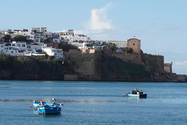 How to Verify a Moroccan Higher Education Institution Is State Recognized