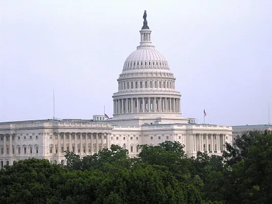 What You Can Actually Do With a Political Science Degree