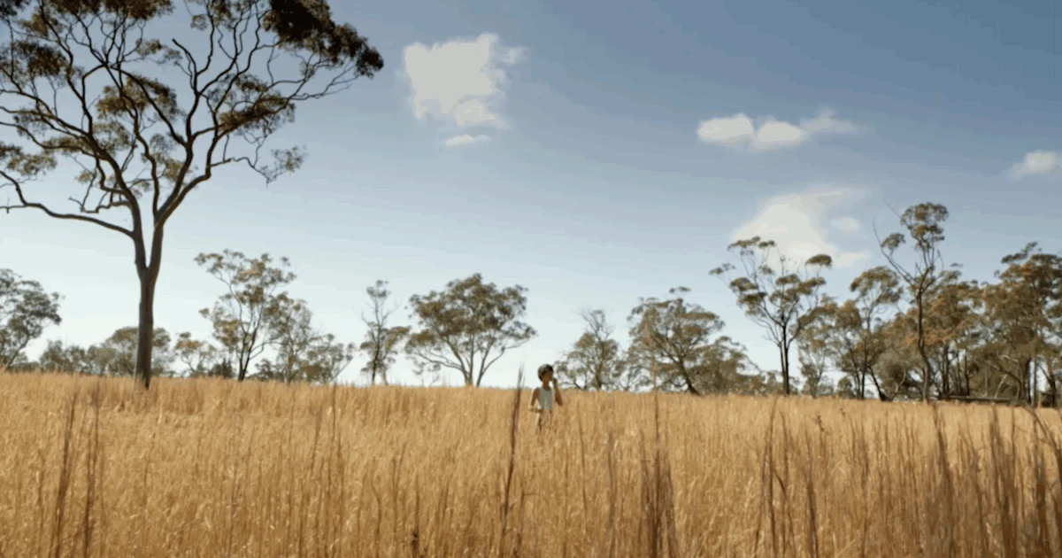 The Australian Film, Television and Radio School campus grounds