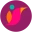 Institute of Education of São Paulo - SINGULARIDADES Logo